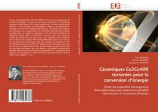 Portada del libro de Céramiques Ca3Co4O9 texturées pour la conversion d’énergie