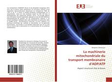 Borítókép a  La machinerie mitochondriale du transport membranaire d’ADP/ATP - hoz