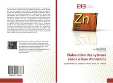 Bookcover of Élaboration des sytèmes rédox à base d'anisidine