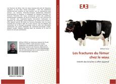 Buchcover von Les fractures du fémur chez le veau