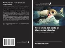 Buchcover von Problemas del parto en úteros cicatrizados