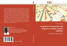 La gestion territoriale des risques en milieu urbain sahélien kitap kapağı