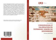 Couverture de CONSERVATION ET VALORISATION DU PATRIMOINE SONORE DU MOZAMBIQUE