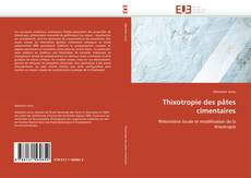 Buchcover von Thixotropie des pâtes cimentaires