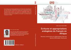 Écritures et appropriations endogènes du français en Afrique kitap kapağı