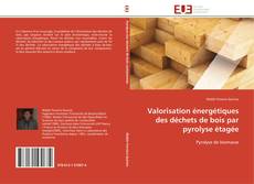 Buchcover von Valorisation énergétiques des déchets de bois par pyrolyse étagée