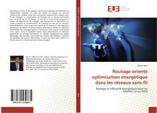 Bookcover of Routage orienté optimisation énergétique dans les réseaux sans fil