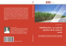 Buchcover von Télédétection, un outil de gestion de la canne à sucre
