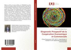 Diagnostic Prospectif de la Coopération Économique et Commerciale的封面