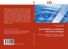 Buchcover von Vulnérabilité à la pollution de la baie de Bejaia