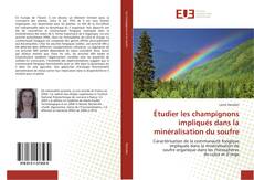 Buchcover von Étudier les champignons impliqués dans la minéralisation du soufre