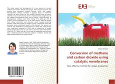 Buchcover von Conversion of methane and carbon dioxide using catalytic membranes