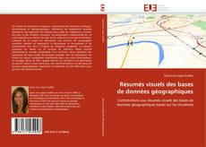 Buchcover von Résumés visuels des bases de données géographiques