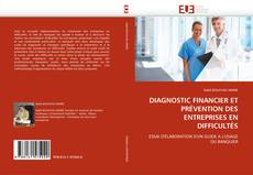 DIAGNOSTIC FINANCIER ET PRÉVENTION DES ENTREPRISES EN DIFFICULTÉS kitap kapağı