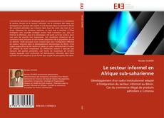 Le secteur informel en Afrique sub-saharienne kitap kapağı