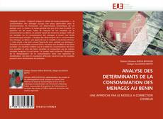 Bookcover of ANALYSE DES DETERMINANTS DE LA CONSOMMATION DES MENAGES AU BENIN