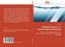 Buchcover von Biodénitrification sur substrat ligno-cellulosique