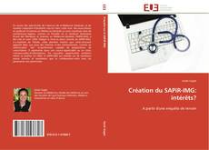 Buchcover von Création du SAPiR-IMG: intérêts?