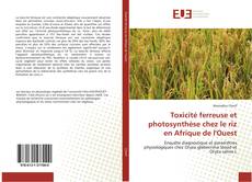 Capa do livro de Toxicité ferreuse et photosynthèse chez le riz en Afrique de l'Ouest 