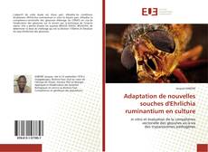 Bookcover of Adaptation de nouvelles souches d'Ehrlichia ruminantium en culture