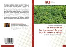 Portada del libro de La protection de l'environnement dans les pays du Bassin du Congo