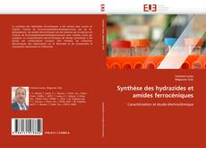 Capa do livro de Synthèse des hydrazides et amides ferrocéniques 