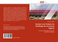 Bookcover of Analyse non linéaire du flambage de structures légères