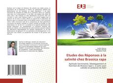 Buchcover von Etudes des Réponses à la salinité chez Brassica rapa