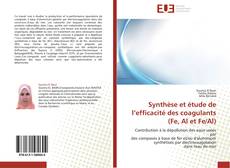 Synthèse et étude de l’efficacité des coagulants (Fe, Al et Fe/Al) kitap kapağı