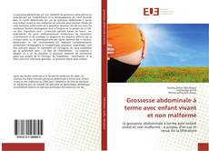 Bookcover of Grossesse abdominale à terme avec enfant vivant et non malformé