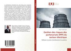 Bookcover of Gestion des risques des partenariats (PPP) du secteur électrique