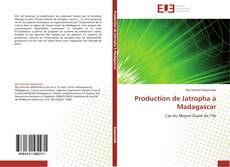 Buchcover von Production de Jatropha à Madagascar