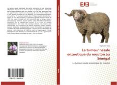 Обложка La tumeur nasale enzootique du mouton au Sénégal