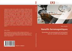 Nanofils ferromagnétiques kitap kapağı