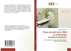 Bookcover of Place actuelle de la TDM en pathologie vertébromédullaire