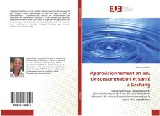 Capa do livro de Approvisionnement en eau de consommation et santé à Dschang 