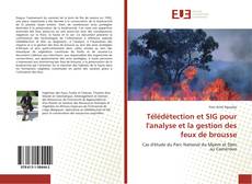 Capa do livro de Télédétection et SIG pour l'analyse et la gestion des feux de brousse 
