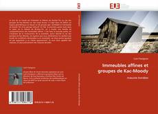 Bookcover of Immeubles affines et groupes de Kac-Moody