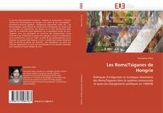 Les Roms/Tsiganes de Hongrie kitap kapağı