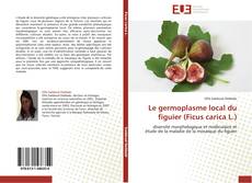 Обложка Le germoplasme local du figuier (Ficus carica L.)