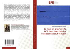 Capa do livro de La mise en œuvre de la DCE dans deux bassins européens:Escaut et Jucar 