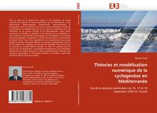 Portada del libro de Théories et modélisation numérique de la cyclogenèse en Méditerranée