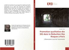Portada del libro de Promotion qualitative des SIG dans la Réduction Des Risques à Paris