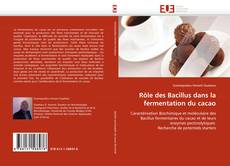 Обложка Rôle des Bacillus dans la fermentation du cacao
