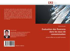 Bookcover of Évaluation des fluorures dans les eaux de consommation