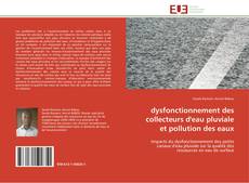 Bookcover of dysfonctionnement des collecteurs d'eau pluviale et pollution des eaux