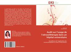 Capa do livro de Audit sur l’usage de l’aérosolthérapie dans un hôpital universitaire 