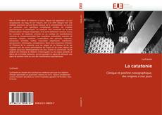 Buchcover von La catatonie