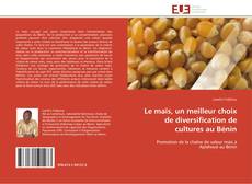 Le maïs, un meilleur choix de diversification de cultures au Bénin的封面