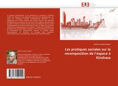Buchcover von Les pratiques sociales sur la recomposition de l'espace à Kinshasa